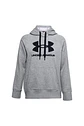 Polerón Mujer Gris 1356318-035 Under Armour - Miniatura 1