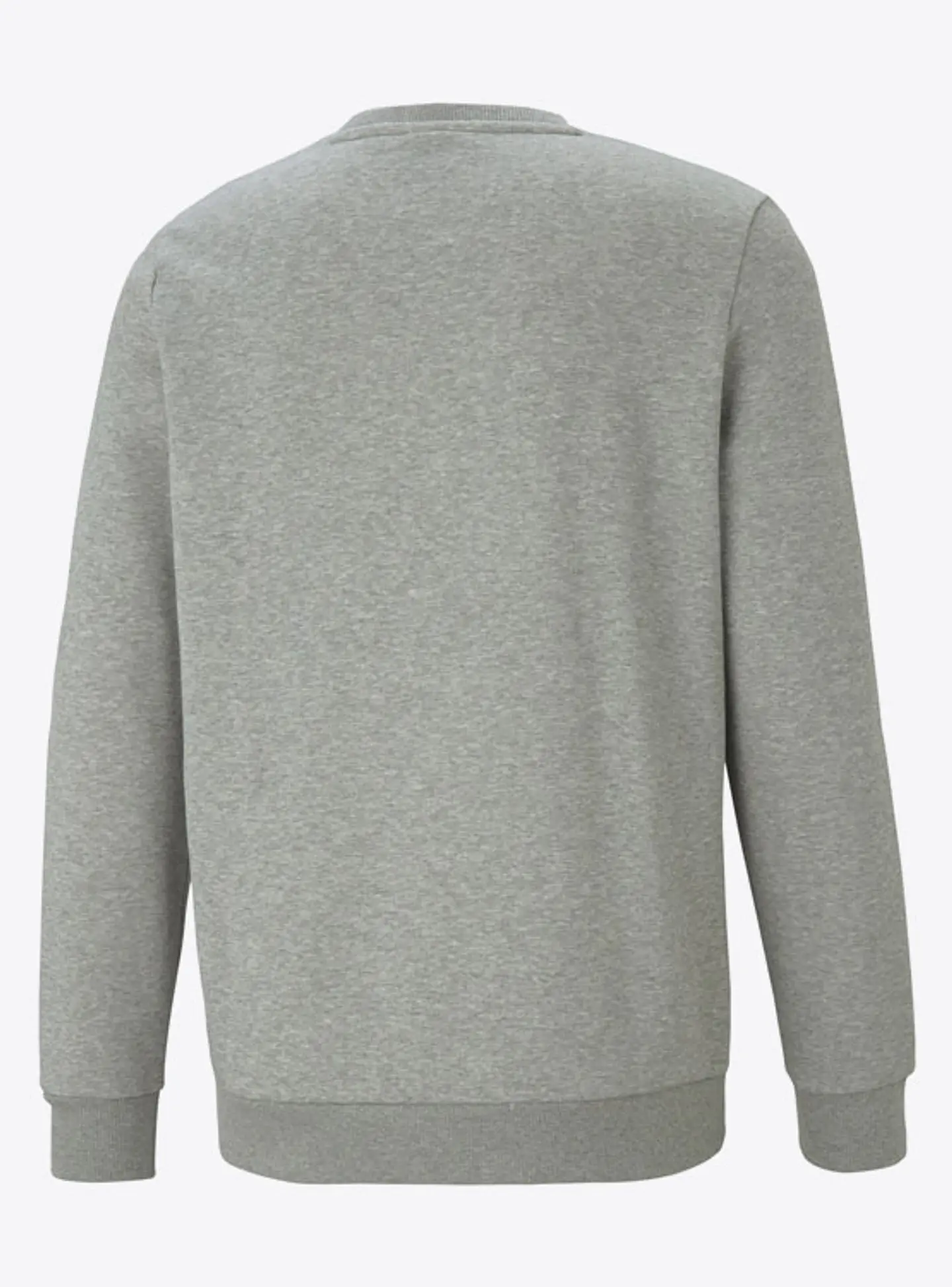 Polerón Hombre Gris Puma 58668203 2
