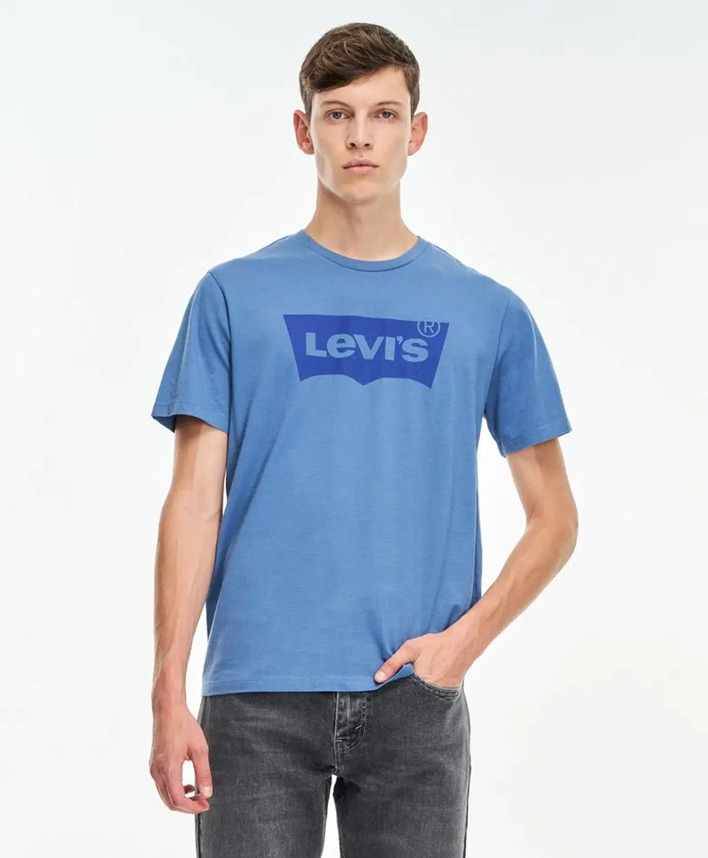 Polera Hombre Azul Levis 22491-0704 1