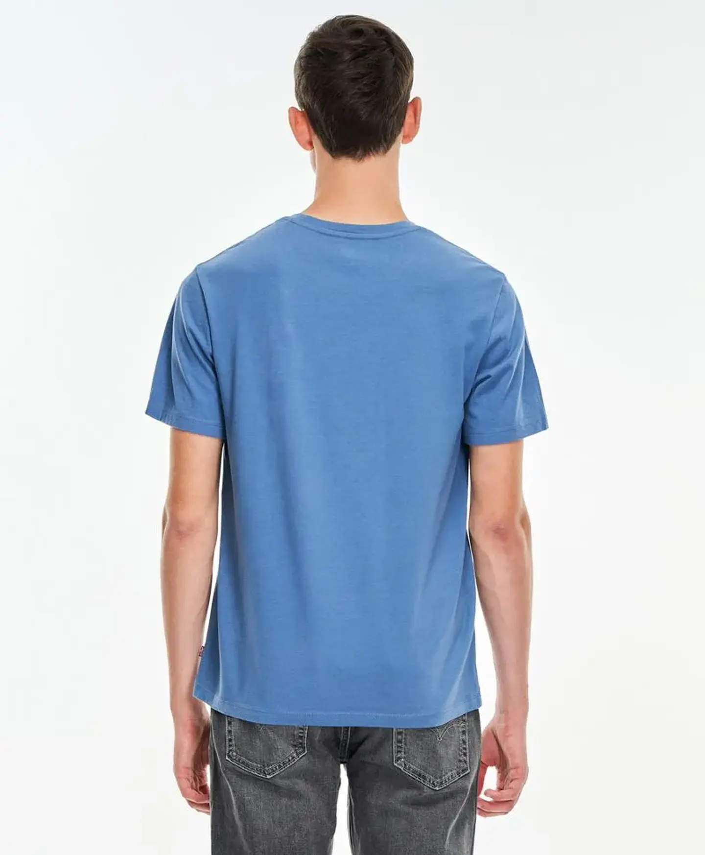 Polera Hombre Azul Levis 22491-0704 2