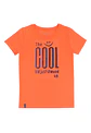 Polera Niño Multicolor Ficcus 2410732 - Miniatura 4