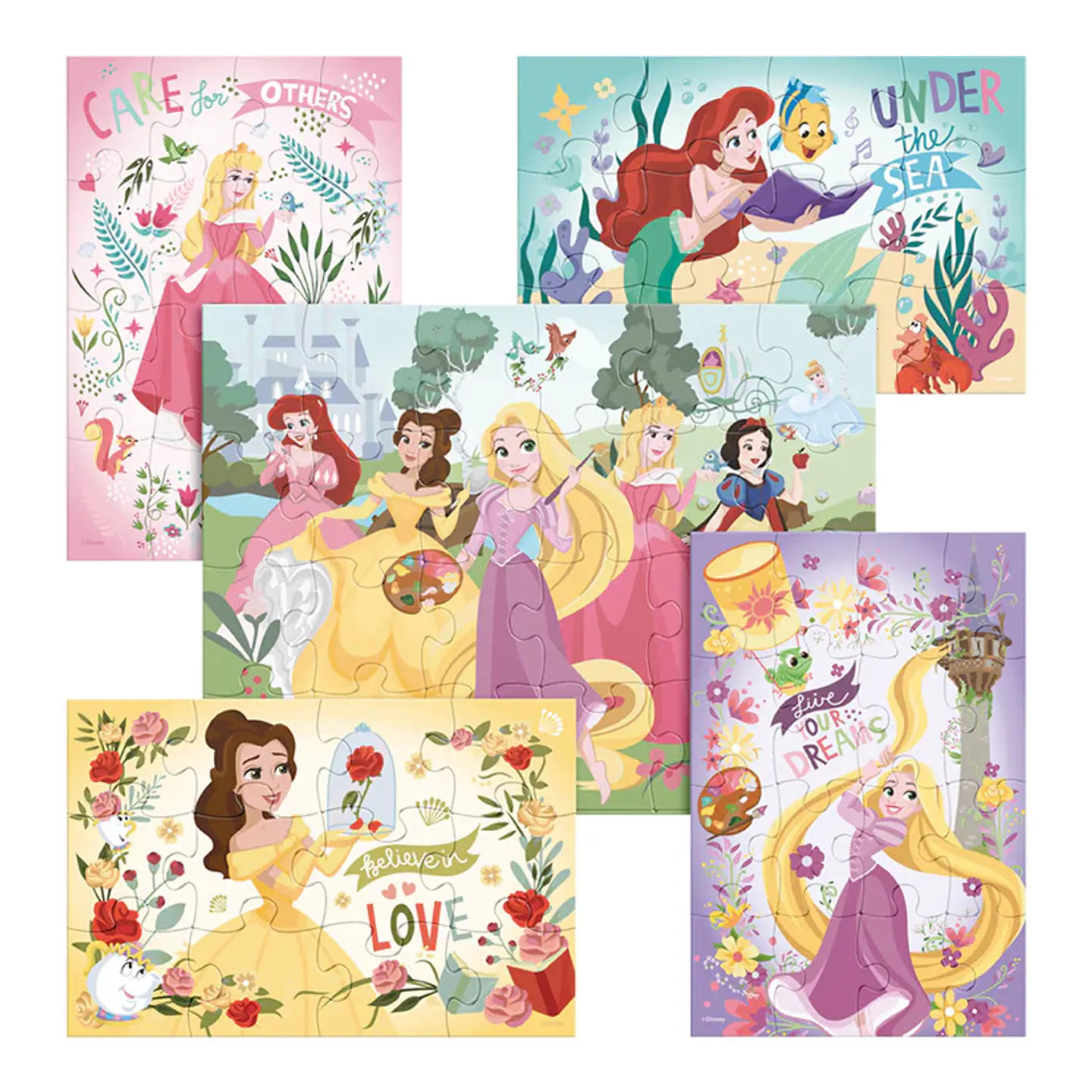 Rompecabezas 5 En 1 De Princesas Disney Imexporta JCA-3097 2