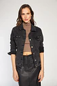 Chaqueta Mujer Negra Amalia 4645 - Miniatura 1
