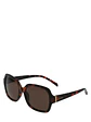 Lentes Café Azaleia AZ210031559-645 - Miniatura 1