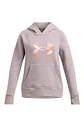 Polerón Mujer Gris Under Armour 1381678-016 - Miniatura 1