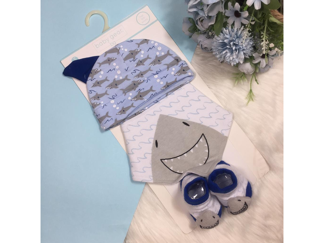 Set Gorro y Babero 1