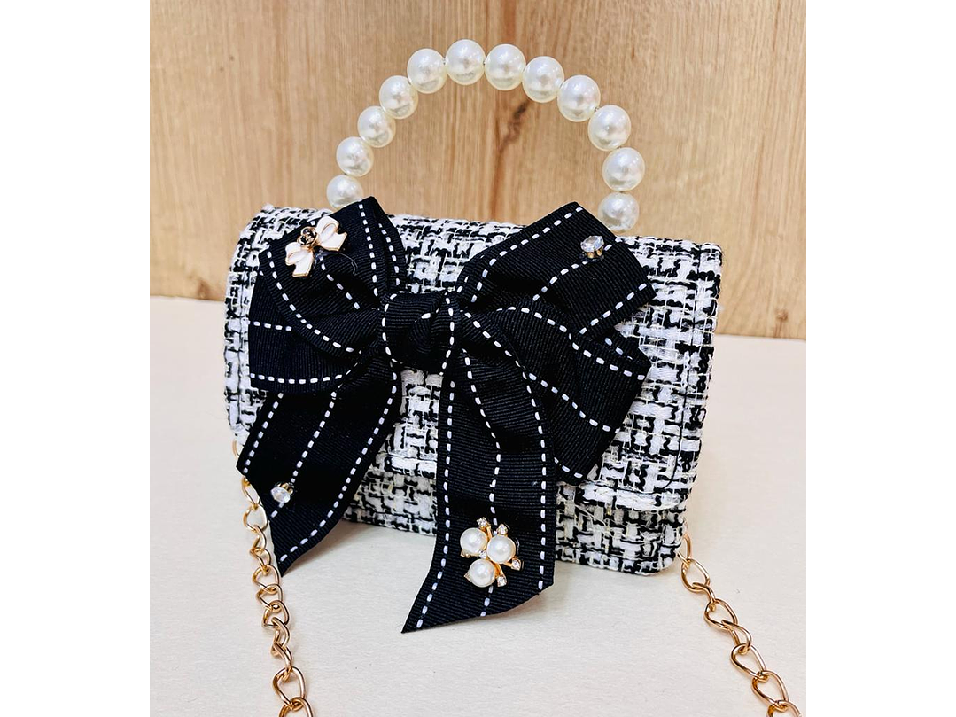 Bolso Fashionista Lazo 1