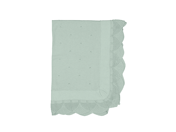 Cobija Mayoral 2023 2