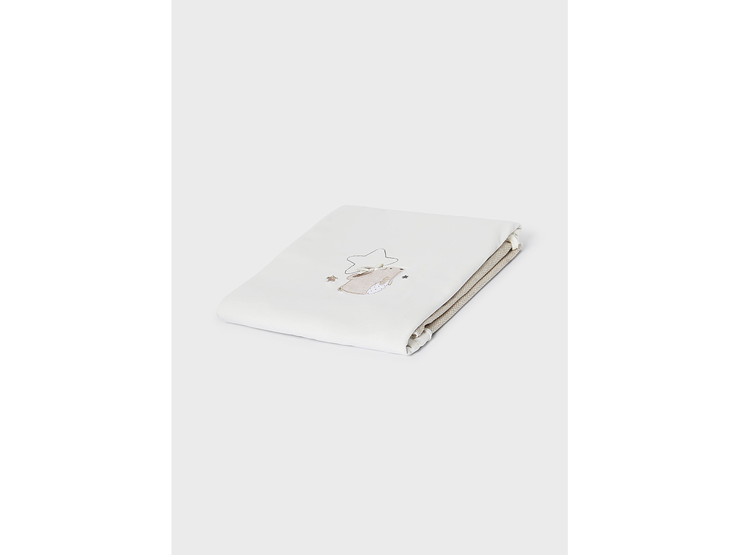 Cobija Mayoral 2023 2