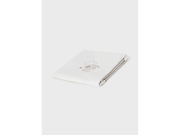 Cobija Mayoral 2023 2