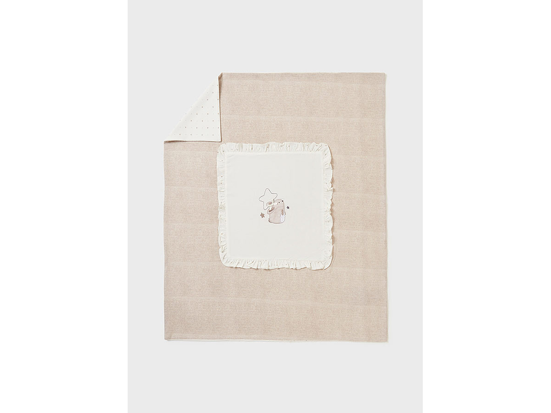 Cobija Mayoral 2023 3