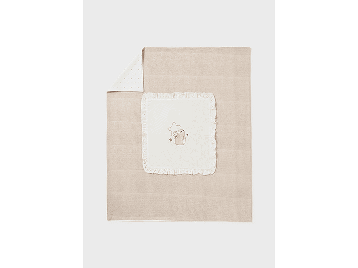 Cobija Mayoral 2023 3