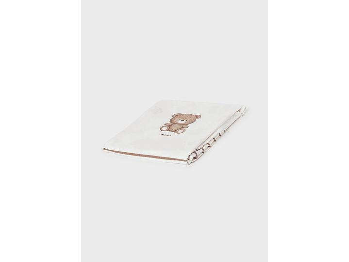 Cobija Mayoral 2023 4