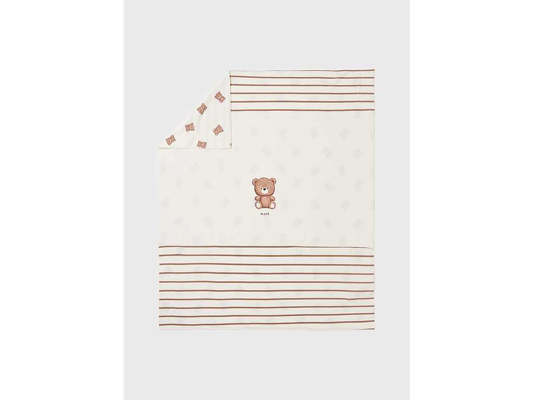 Cobija Mayoral 2023 5