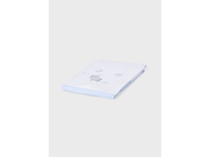 Cobija Mayoral 2023 8