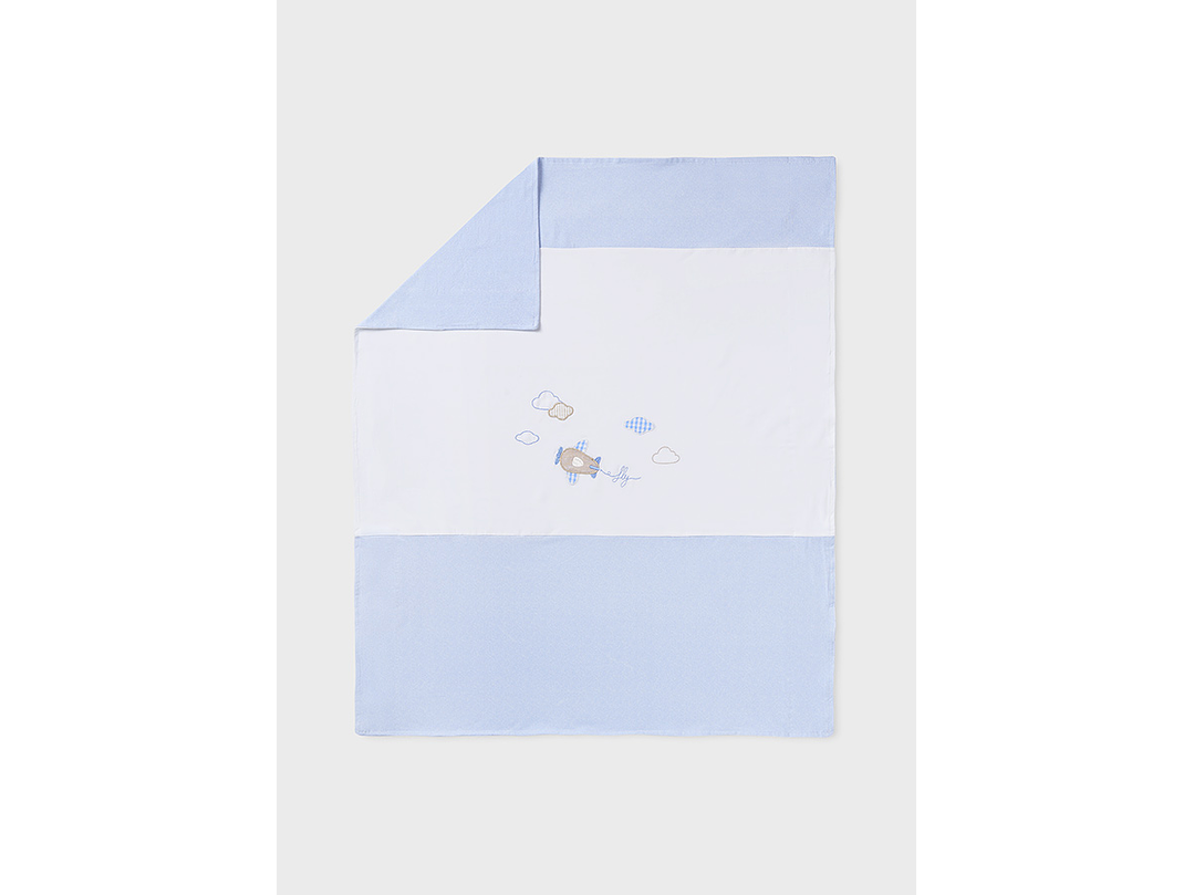 Cobija Mayoral 2023 9