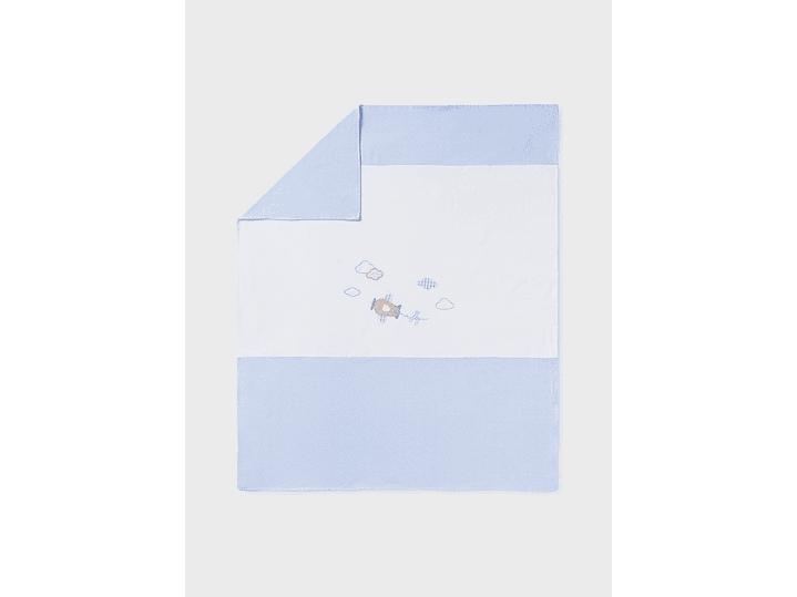 Cobija Mayoral 2023 9