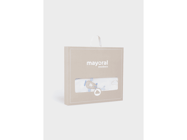 Cobija Mayoral 2023 11