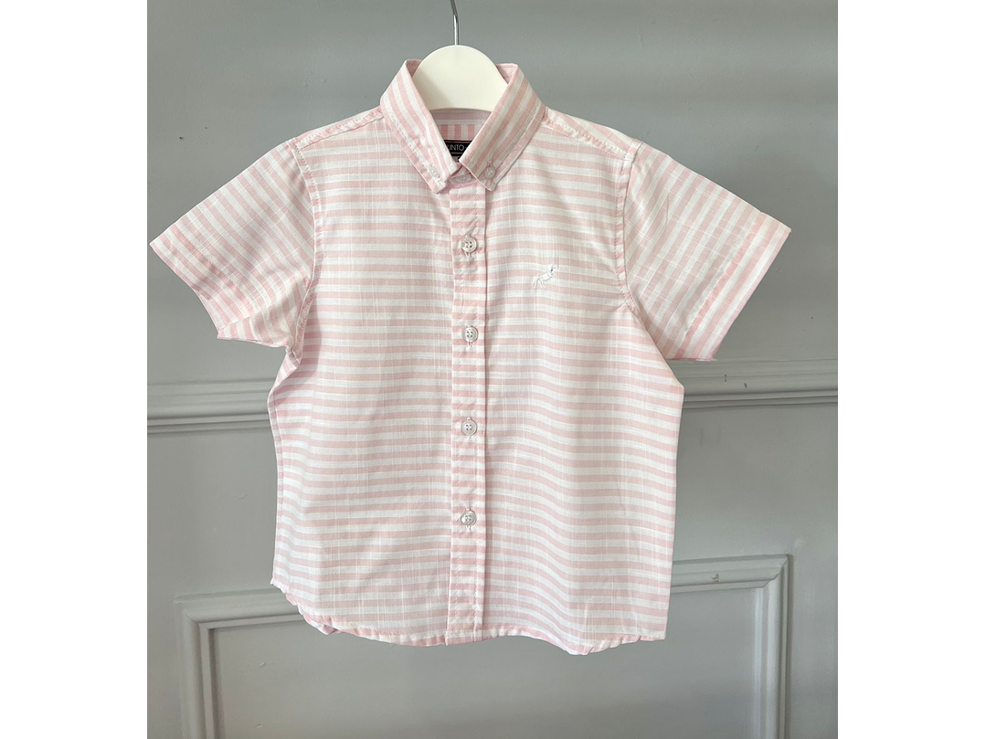 Camisa P&Punto 2023 1