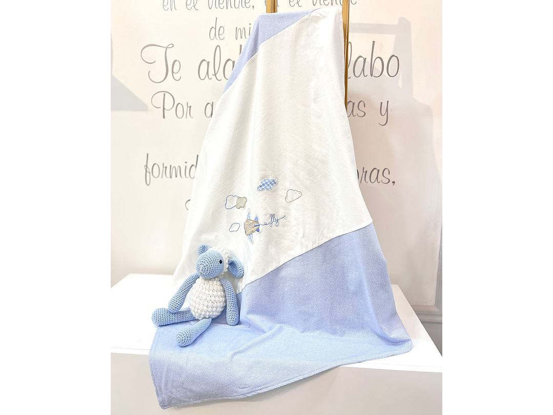 Cobija Mayoral 2023 2