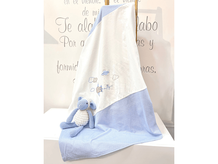 Cobija Mayoral 2023 2