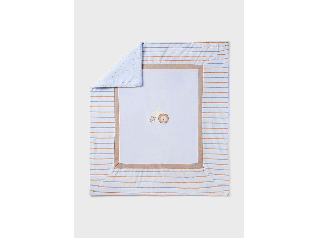 Cobija Mayoral 2023 3