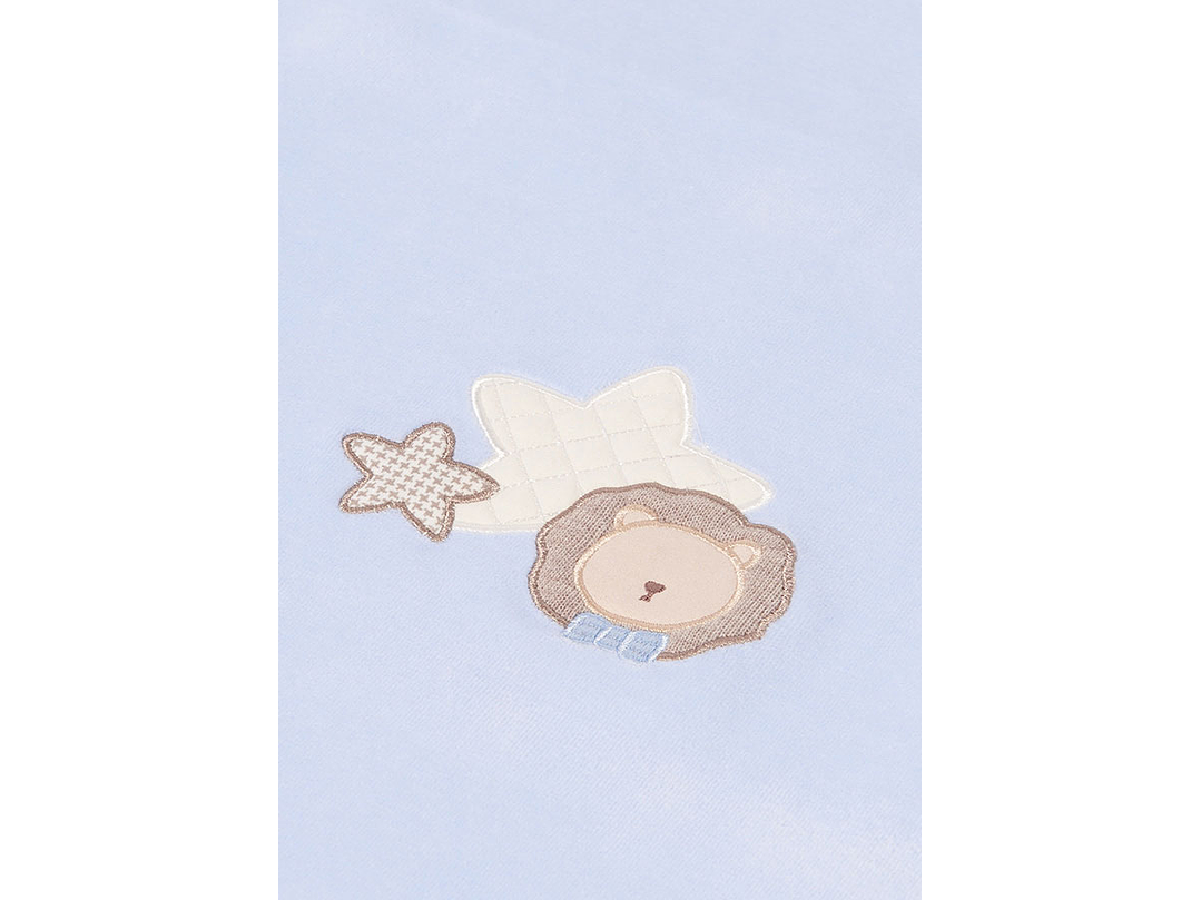 Cobija Mayoral 2023 4