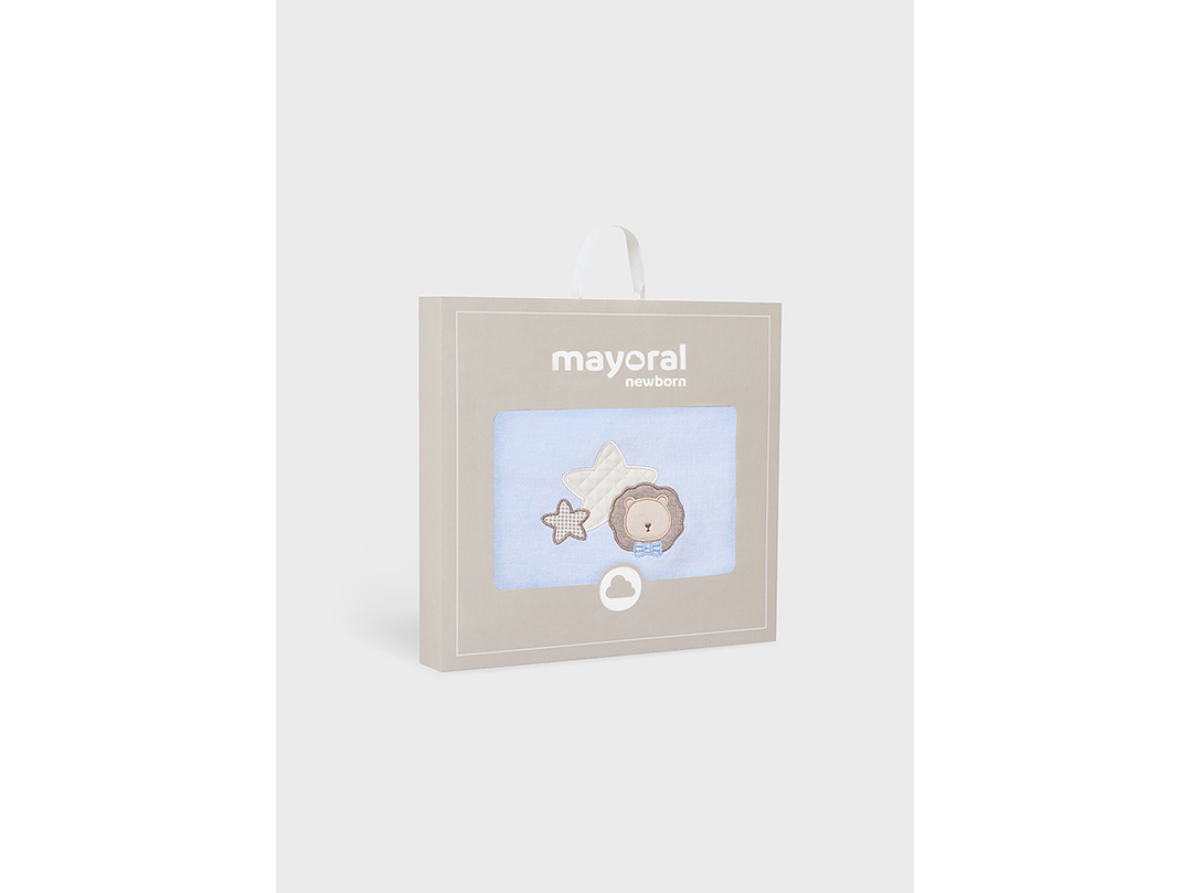 Cobija Mayoral 2023 5