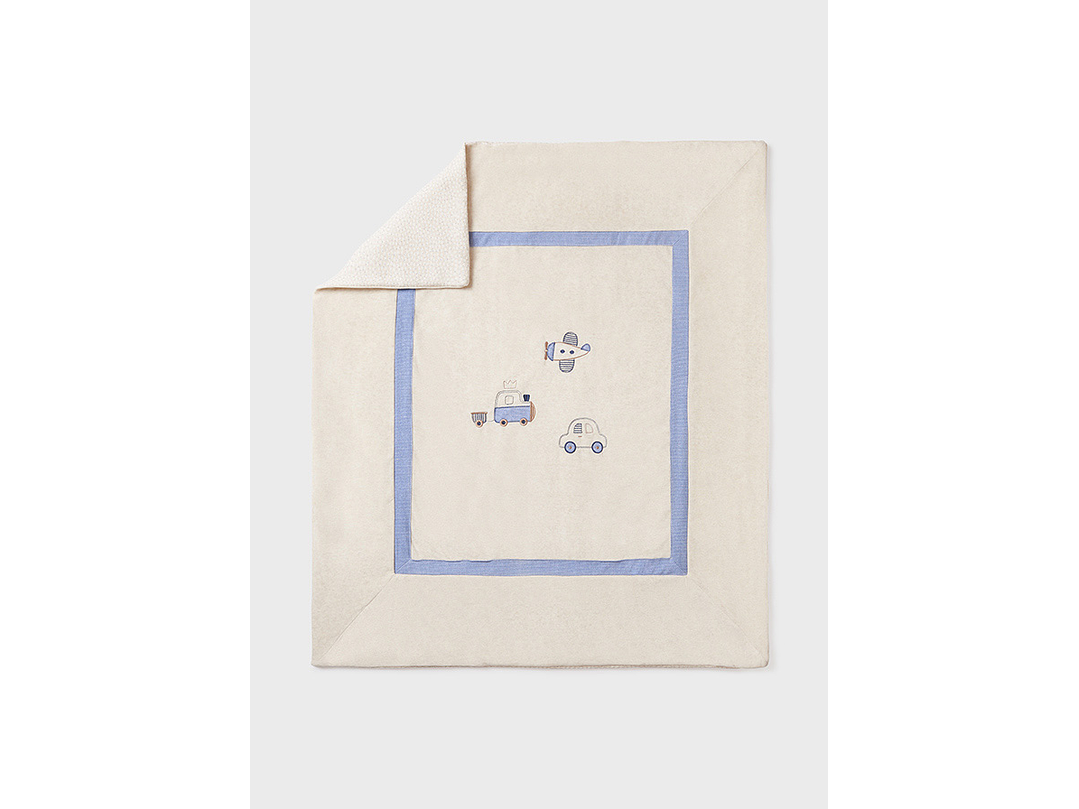 Cobija Mayoral 2023 1