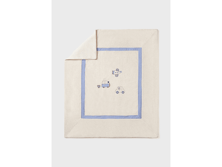 Cobija Mayoral 2023 1