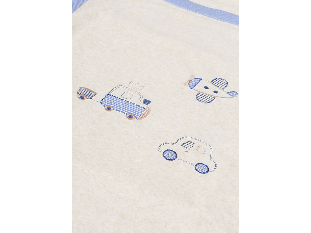 Cobija Mayoral 2023 2