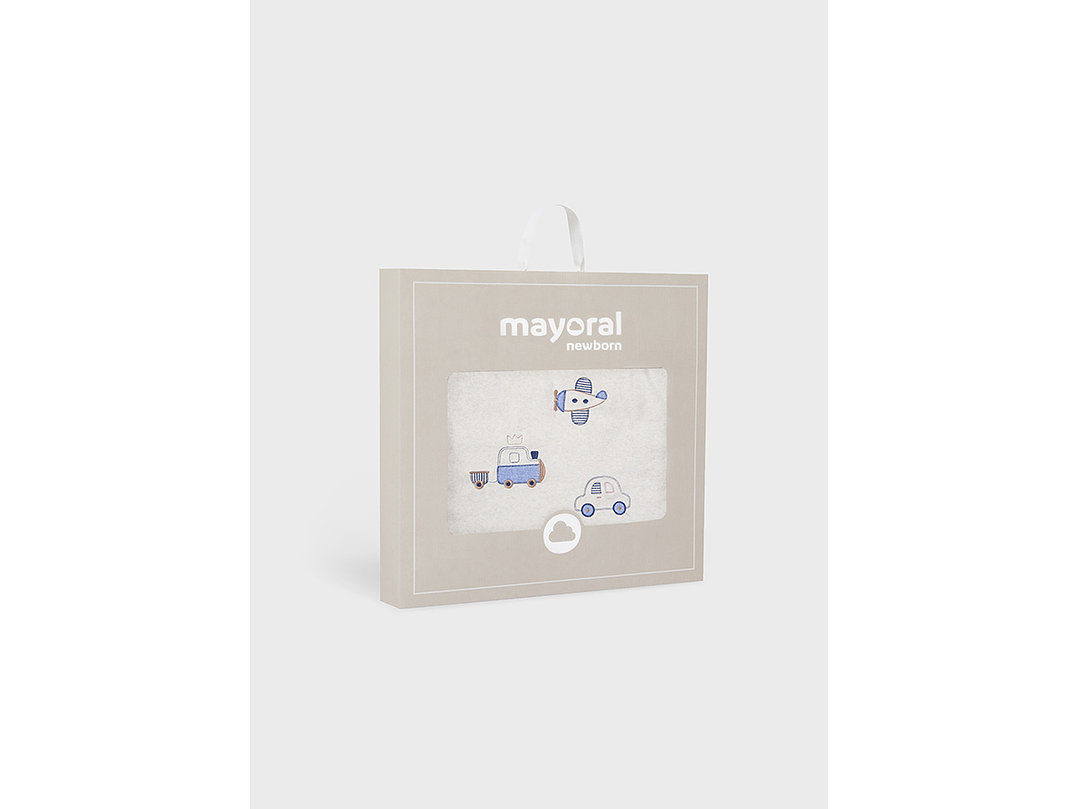 Cobija Mayoral 2023 3