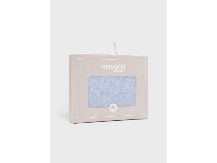 Cobija Mayoral 2023 4