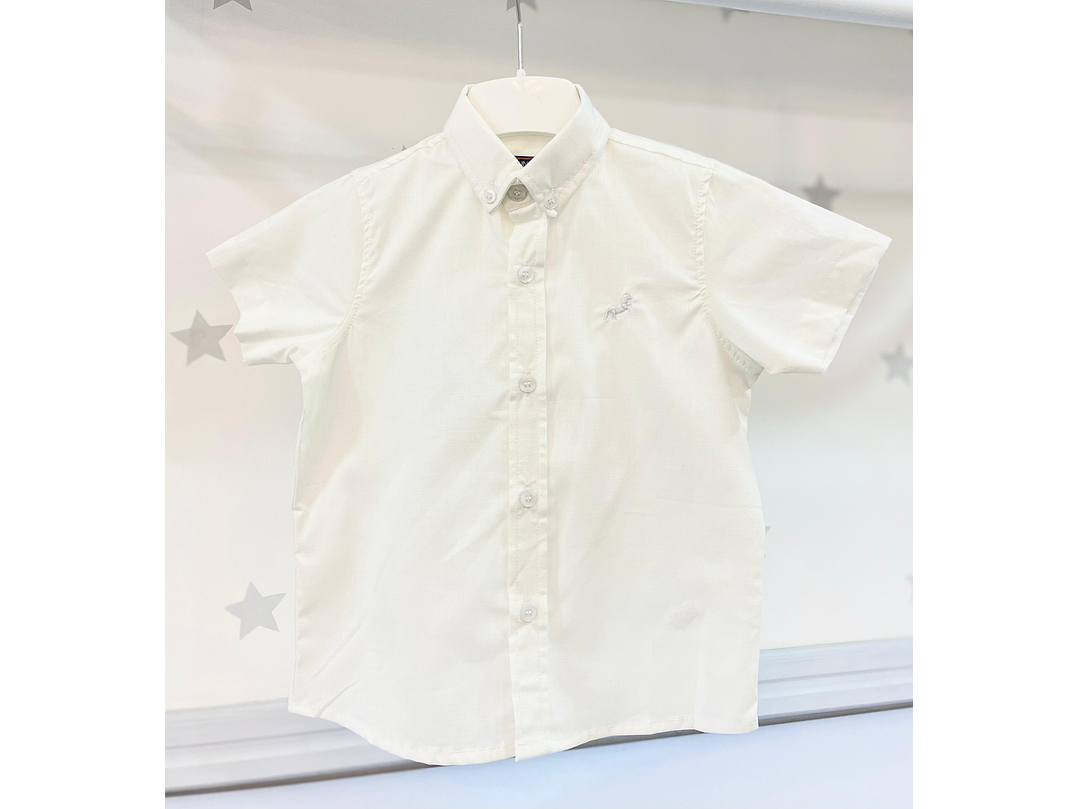 Camisa P&Punto 2023 1