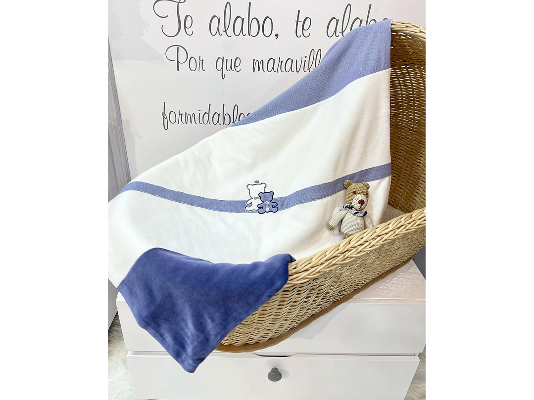 Cobija Mayoral  2023 1