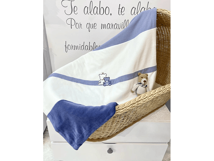 Cobija Mayoral  2023 1