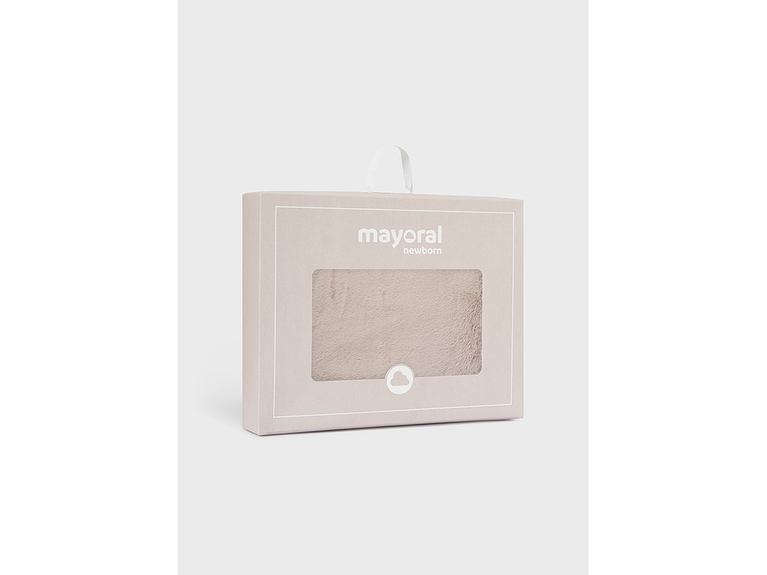 Cobija Mayoral 2023 4