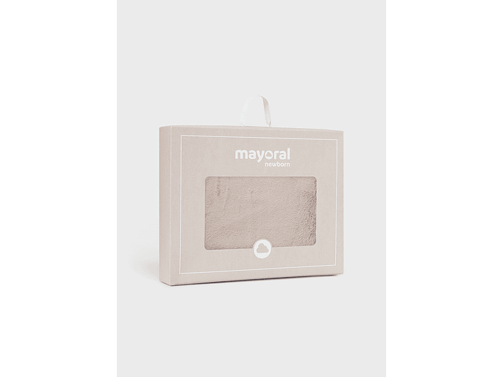 Cobija Mayoral 2023 4