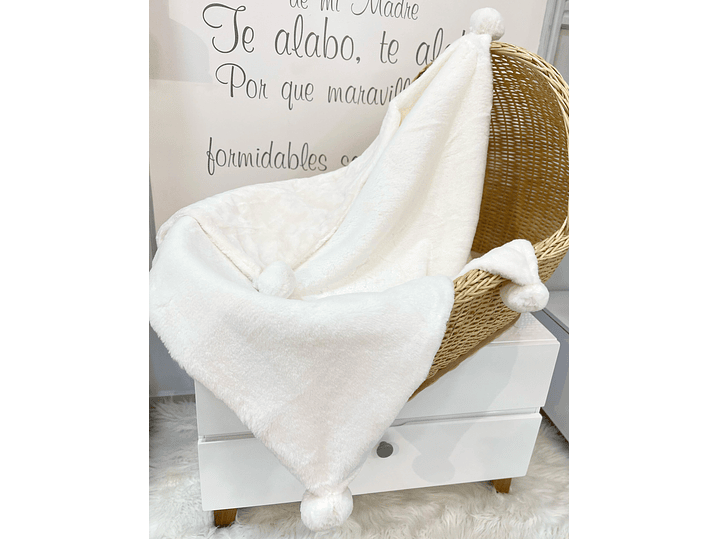 Cobija Mayoral 2023 1