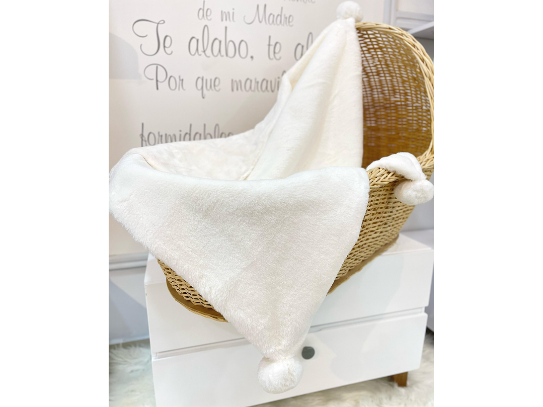 Cobija Mayoral 2023 2