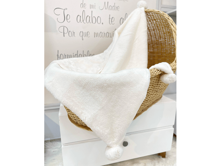 Cobija Mayoral 2023 2