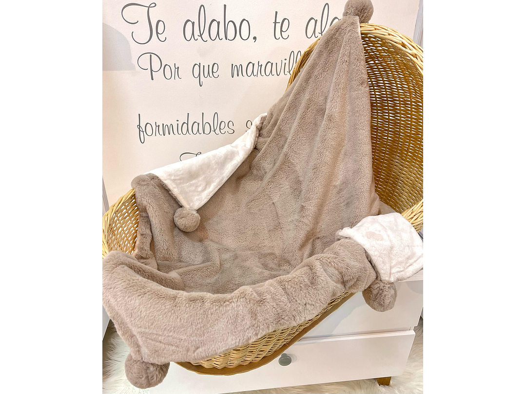 Cobija Mayoral 2023 1