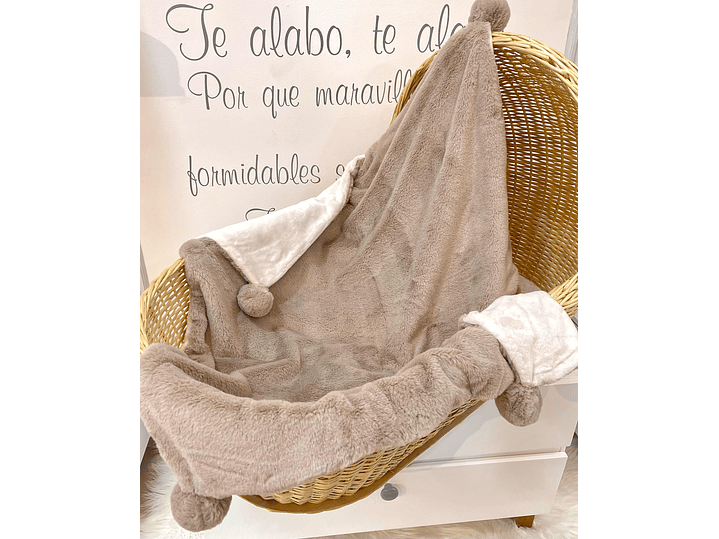 Cobija Mayoral 2023 1