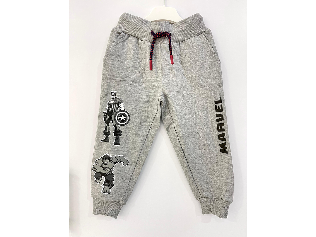 Joguer Losan Gris  2023 1