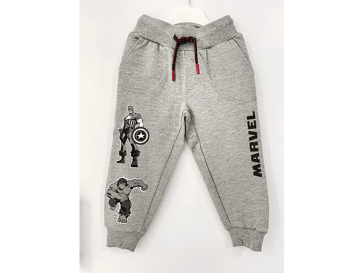 Joguer Losan Gris  2023 1