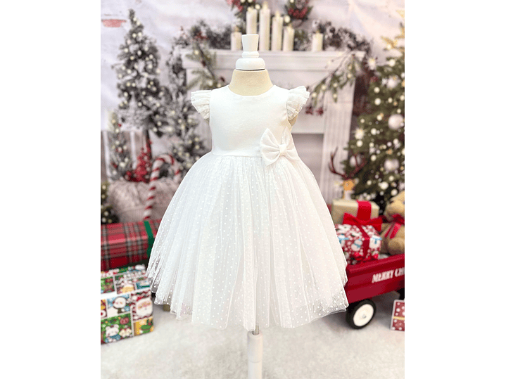 Vestido Erika Snurbusch 2