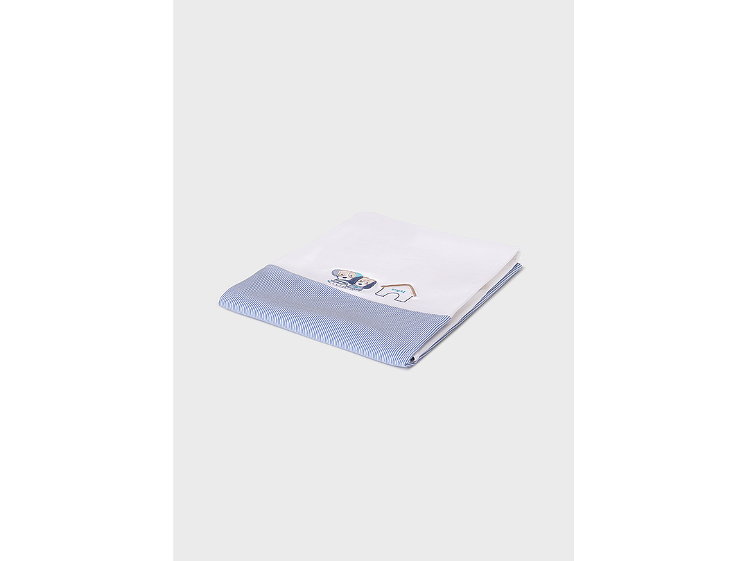 Cobija Mayoral 2024 1