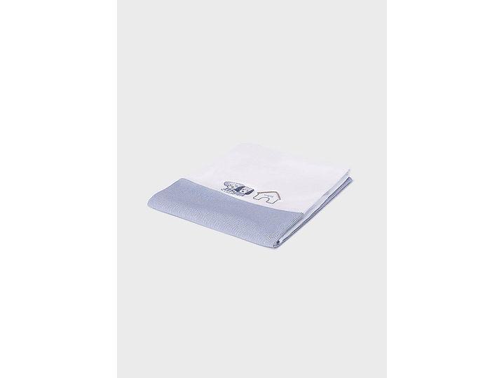 Cobija Mayoral 2024 1