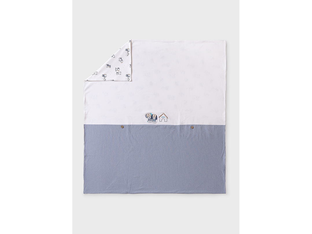 Cobija Mayoral 2024 2