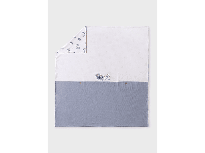 Cobija Mayoral 2024 2